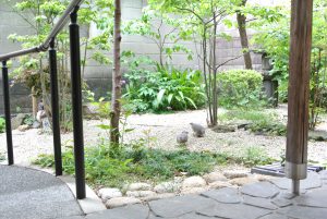 千代田ヴィレッジ中庭の鳩