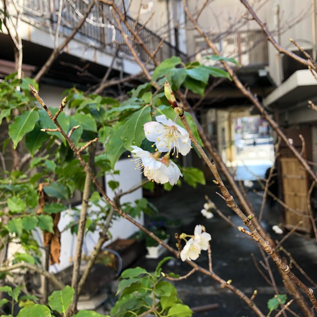 レンタルスペース名古屋和室千代田ヴィレッジ