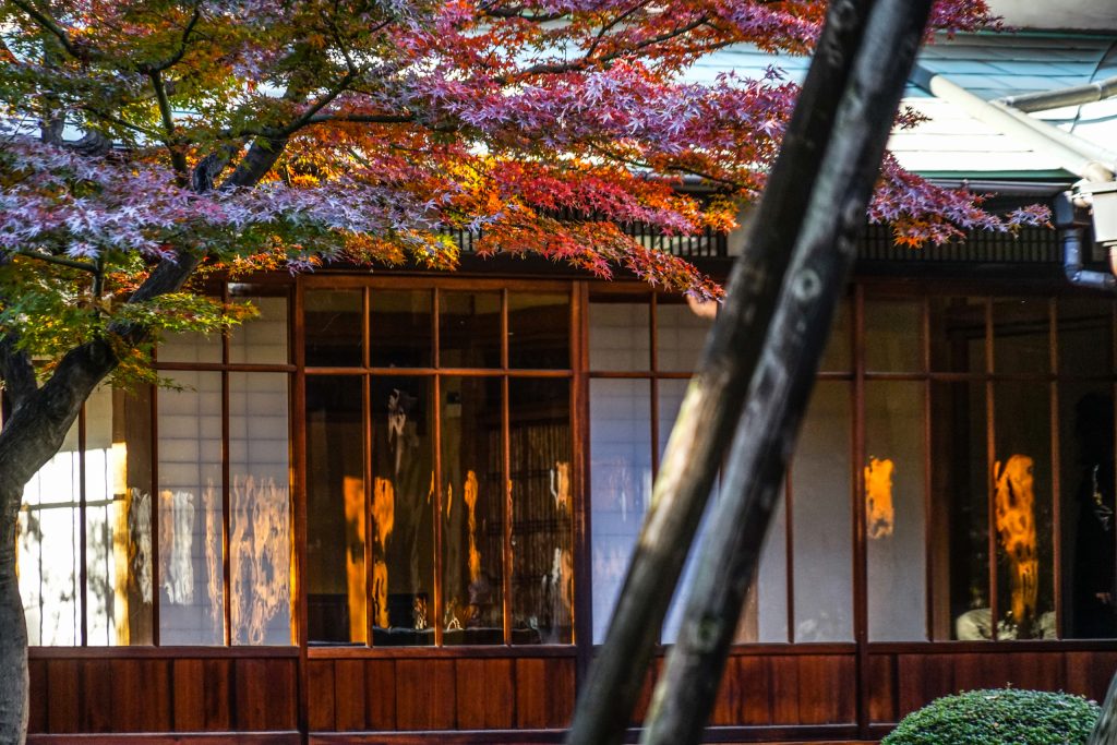紅葉の名所の混雑と天候リスク